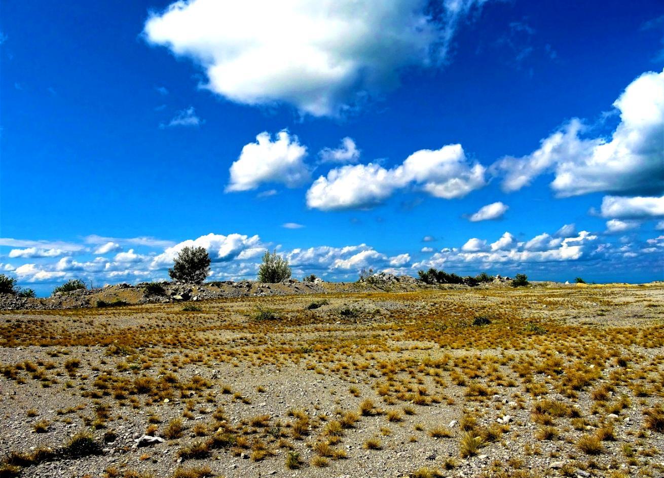 参加者との交流イベント