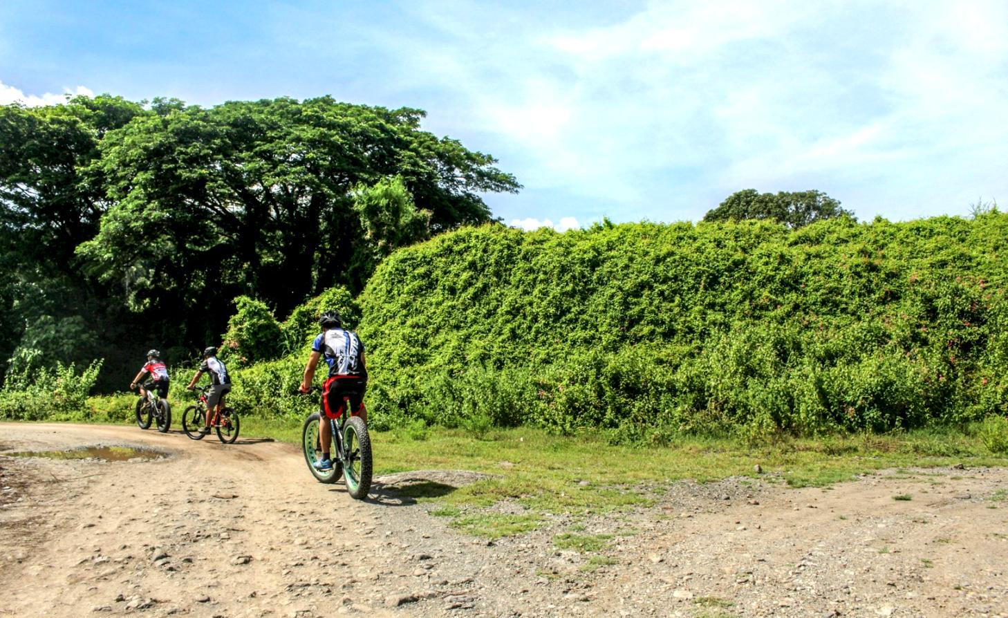 地域観光の現場で活躍するパートナー企業との連携風景