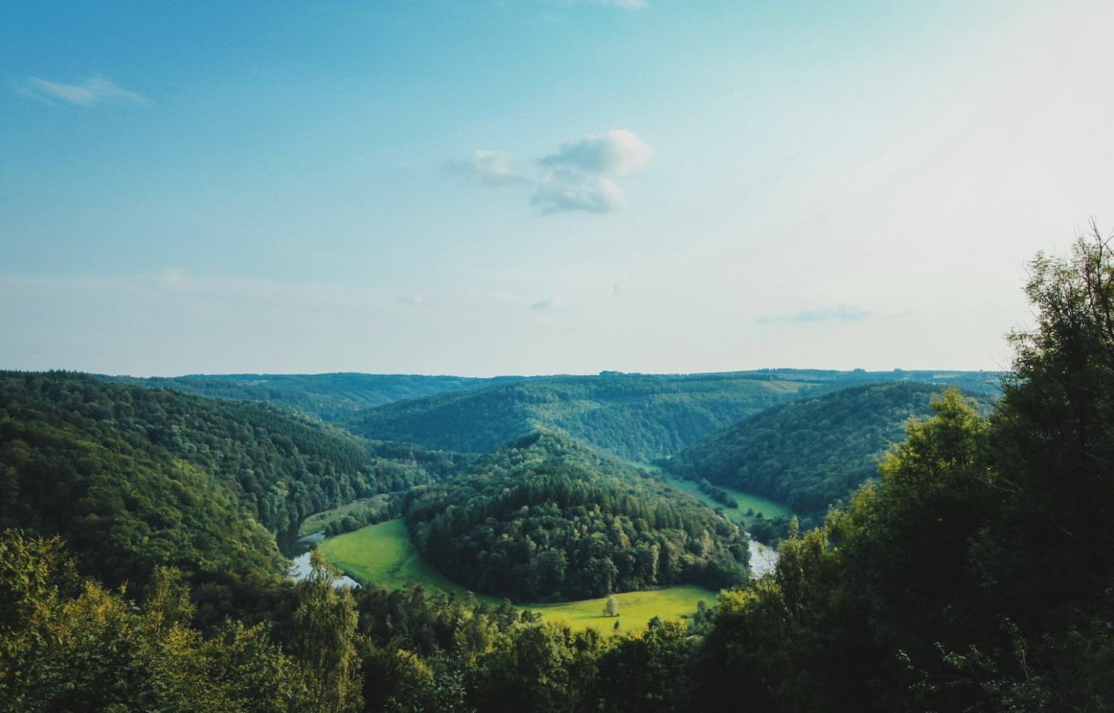 地域コミュニティでの観光体験の様子