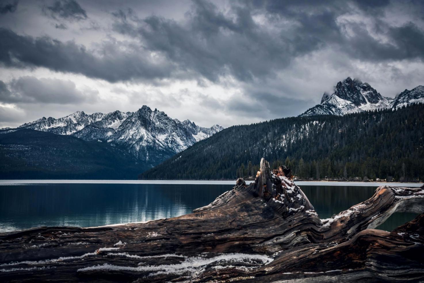 コミュニティワークショップの様子